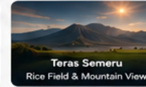 Rice fields with Mount Semeru in the distance
